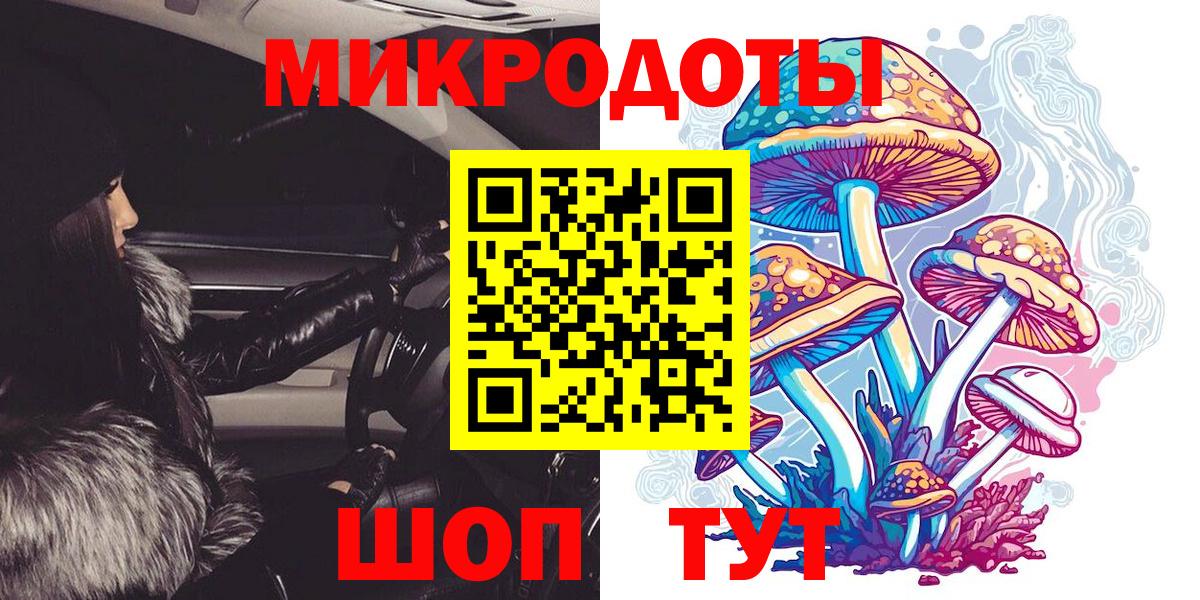 Галлюциногенные грибы ЛСД  Псилоцибиновые грибы Psilocybe  сколько стоит  Димитровград  Вход с VPN 